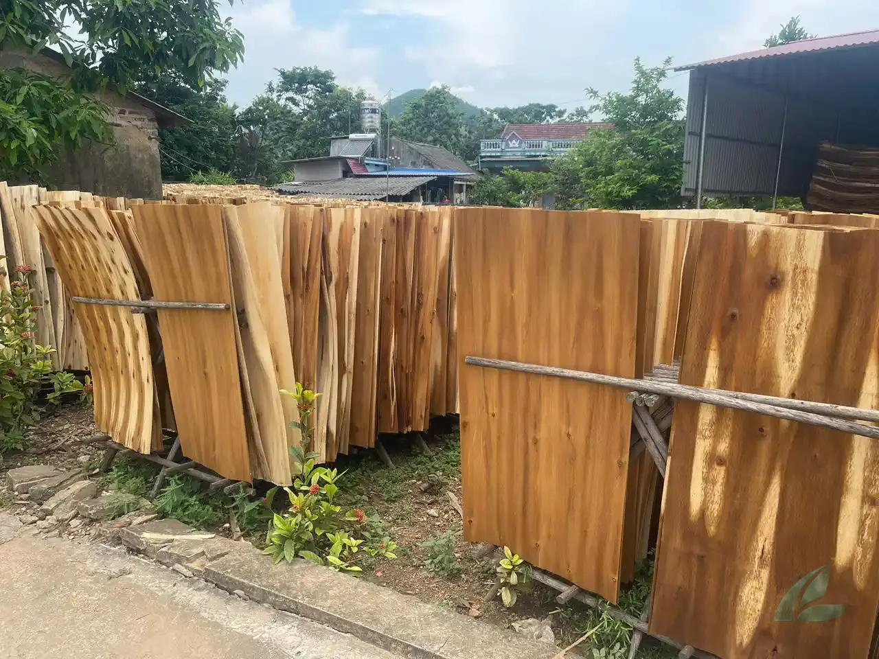 Acacia core veneer sheets Vietnam export grade ready for plywood production Mika Plywood