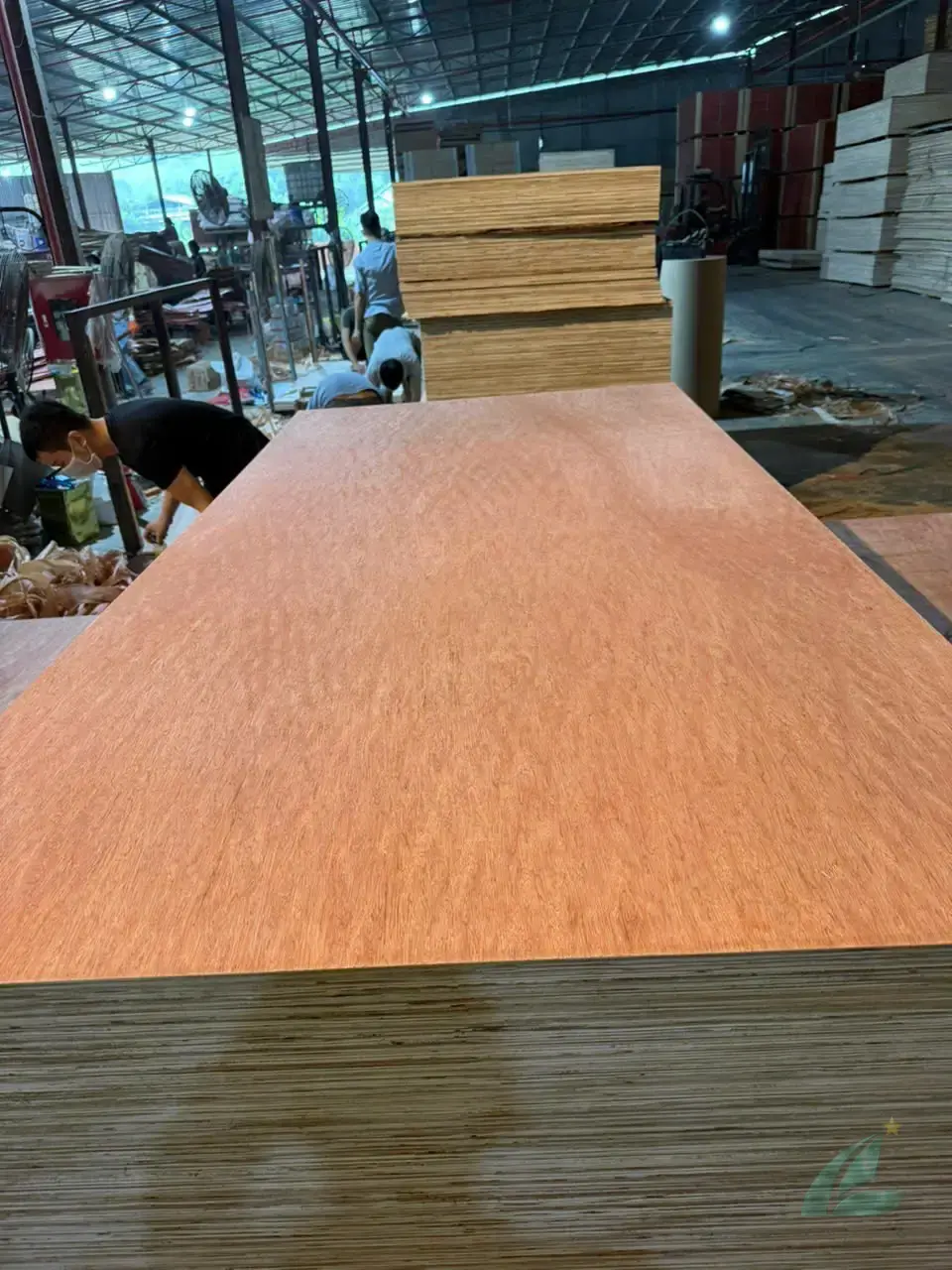 plywood core construction cross-section stitched vs loose-laid export grade vietnam