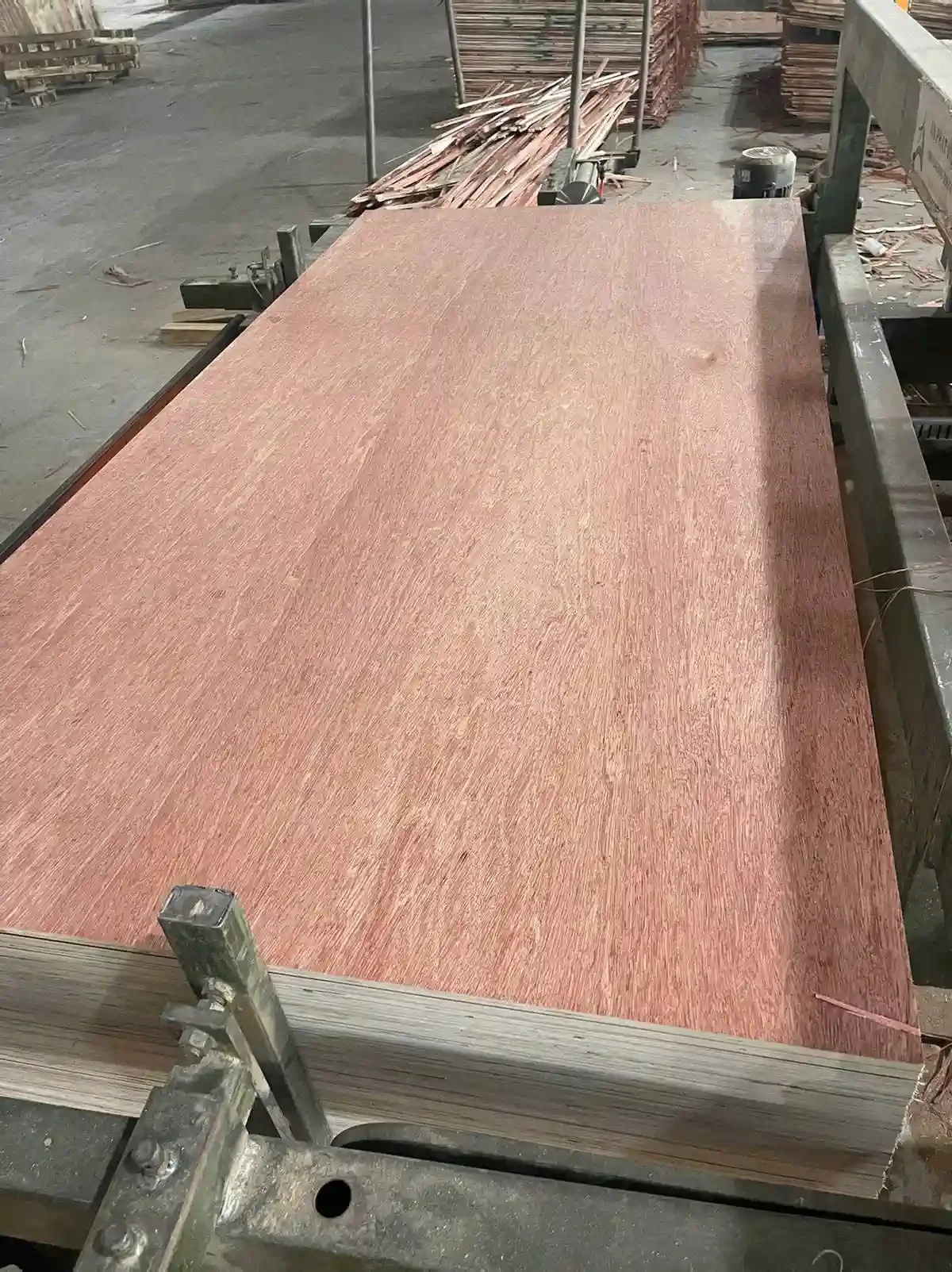 Bintangor plywood Vietnam export grade A furniture face veneer hcply