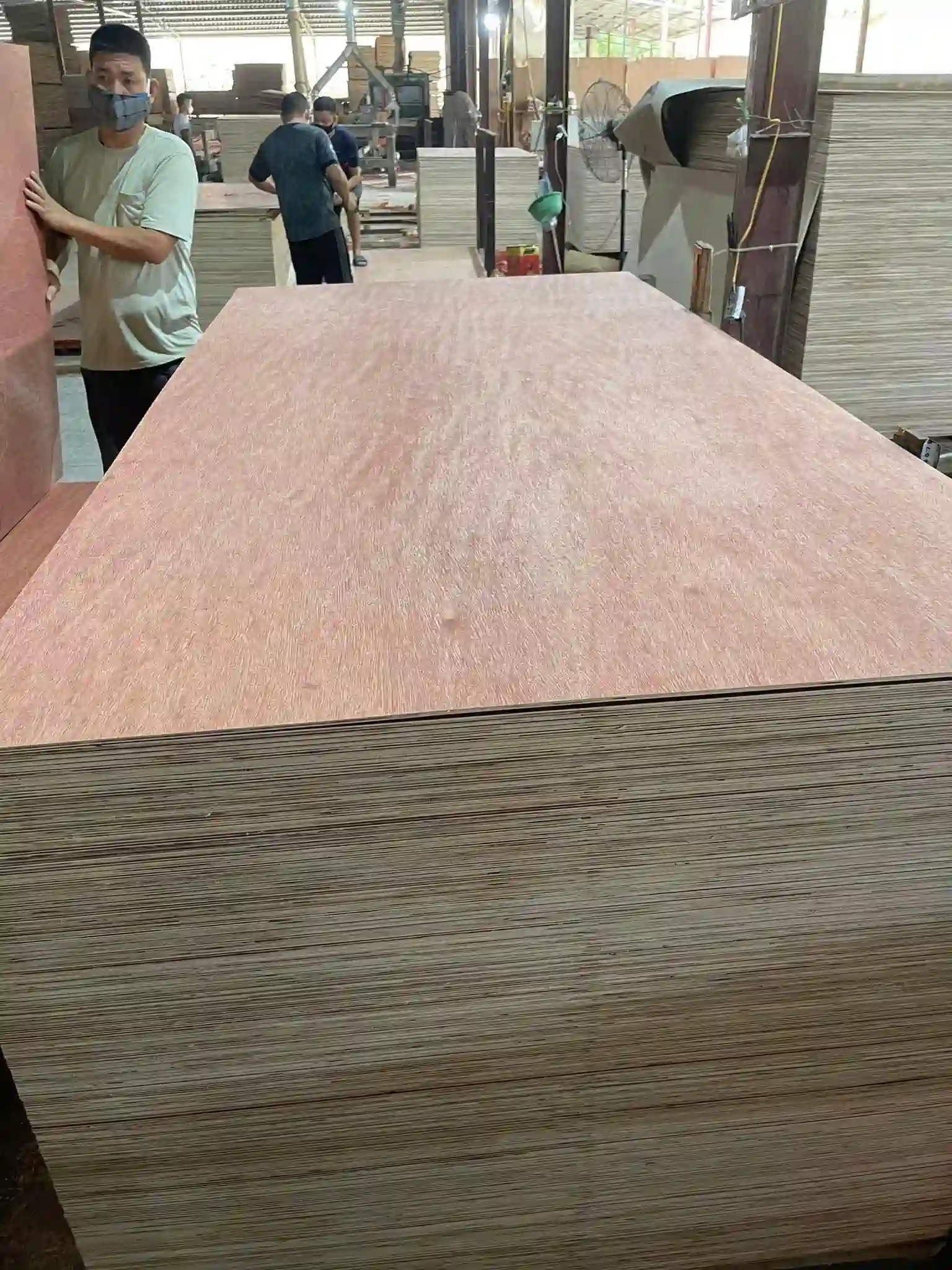 bintangor plywood vietnam export grade furniture commercial panel hcply factory floor