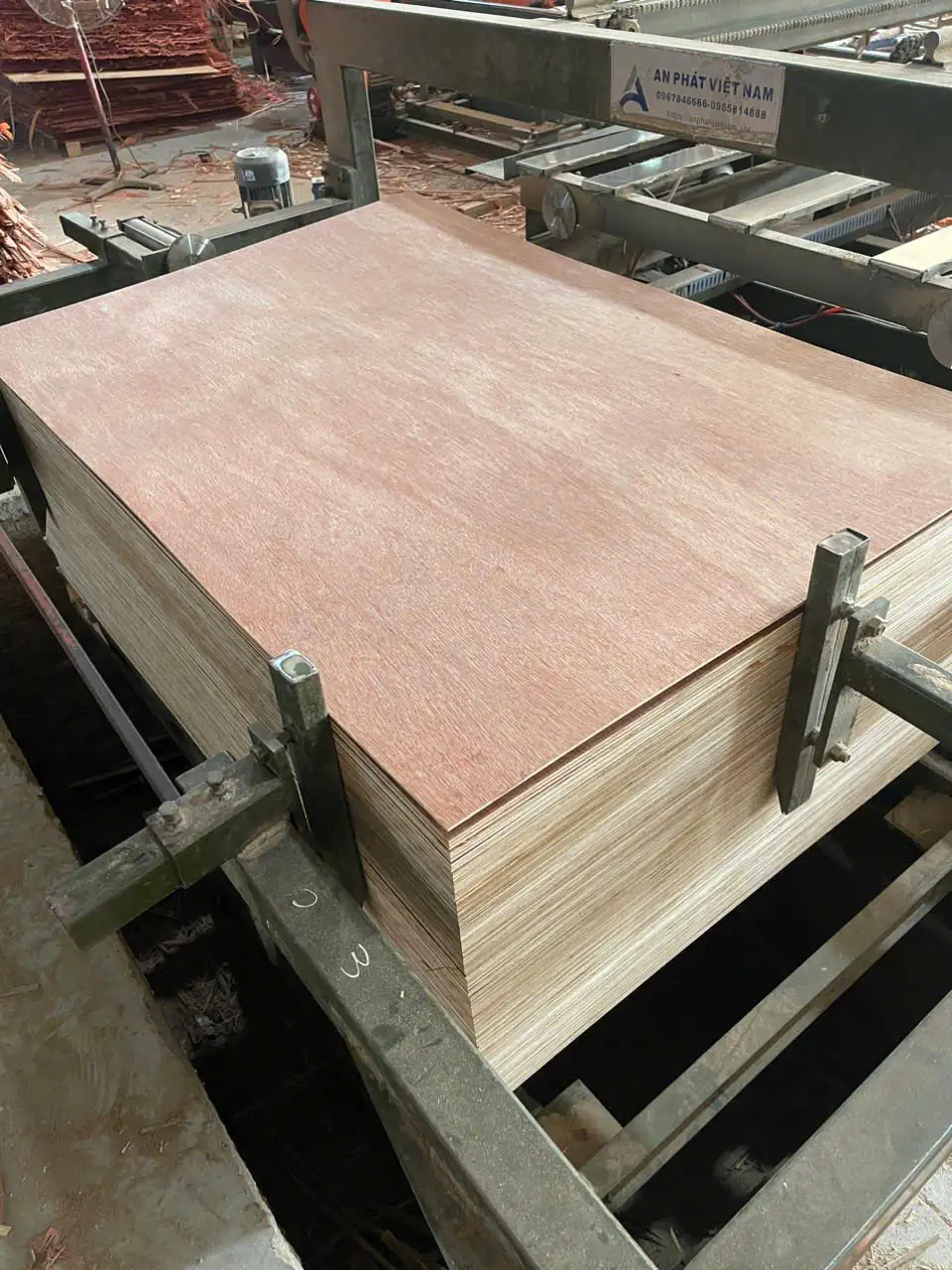 bintangor plywood face veneer light brown straight grain hcply vietnam