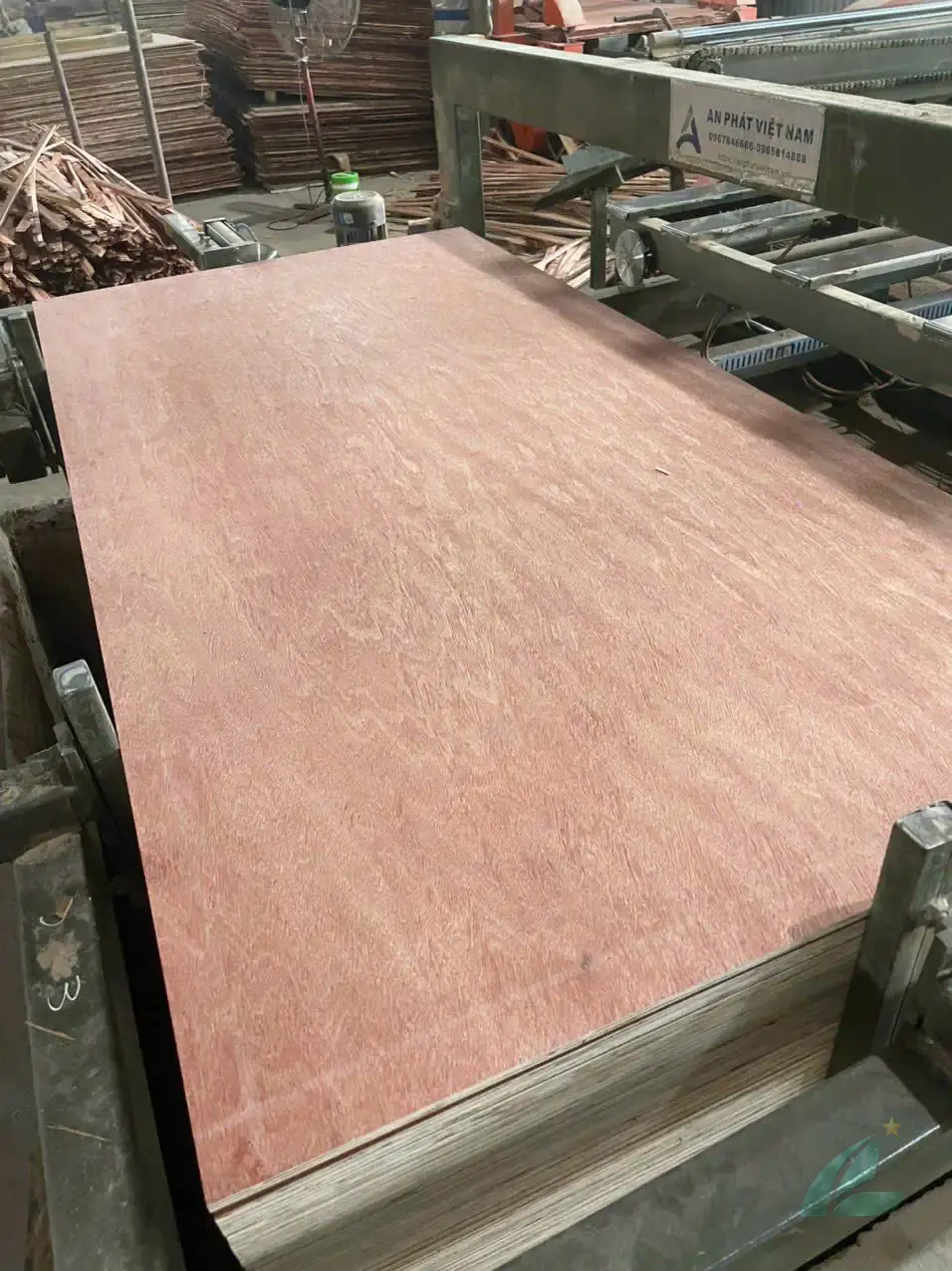 Vietnam commercial plywood bintangor face acacia core export grade Mika Plywood factory pallet