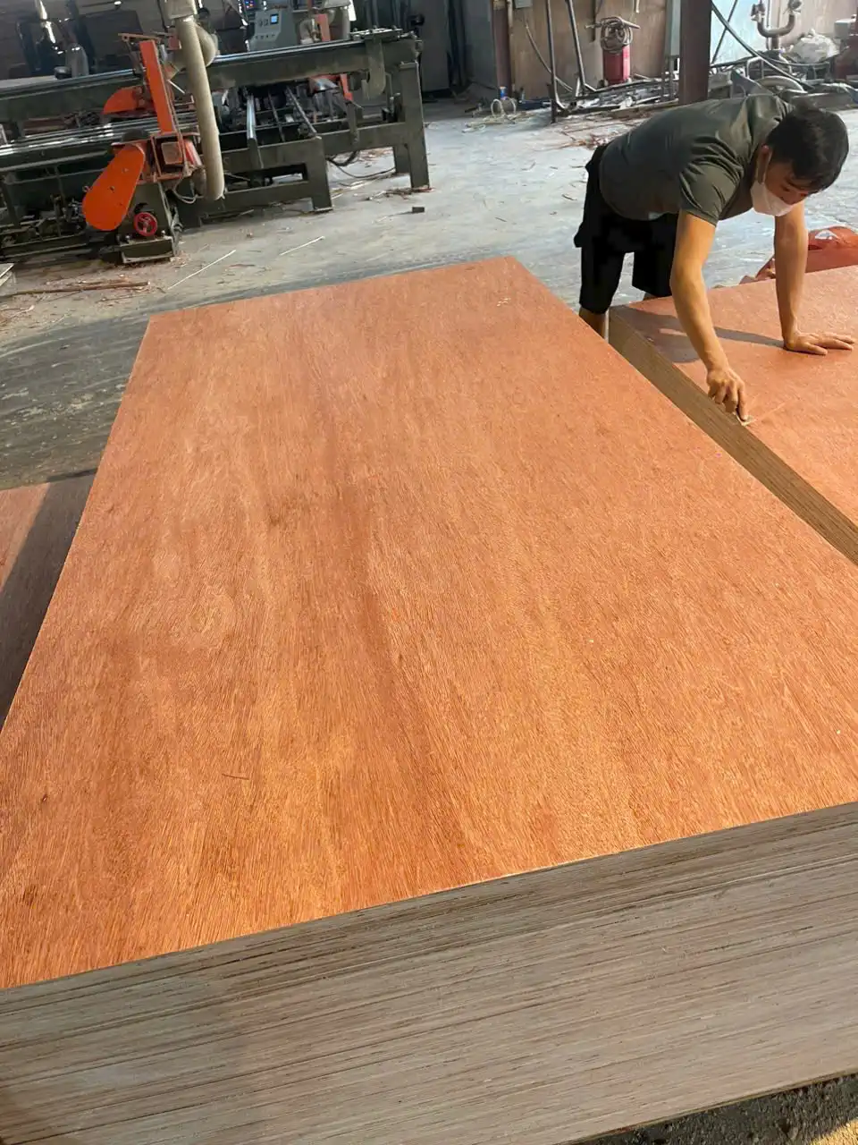 Bintangor plywood Grade A face veneer sanded surface export Vietnam Mika Plywood comparison