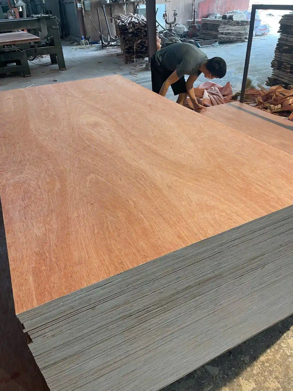 bintangor plywood vietnam export grade a furniture hcply factory qc inspection