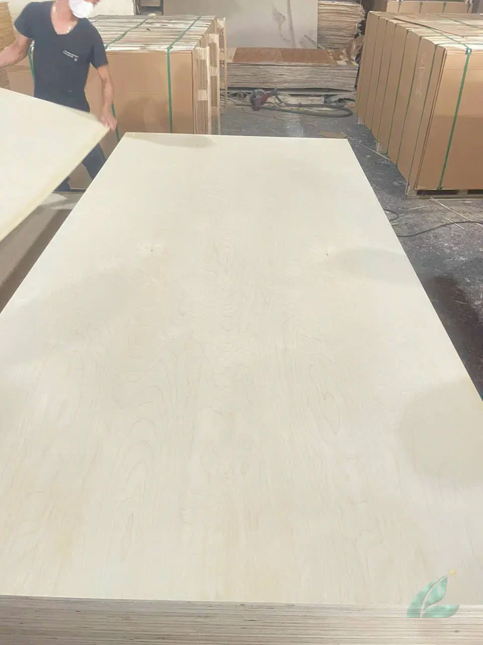Mika Plywood stacked export panels
