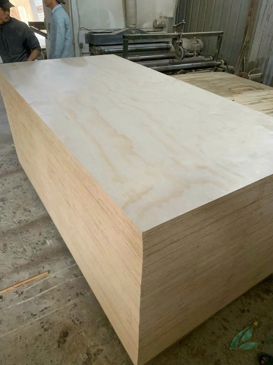 Birch Plywood