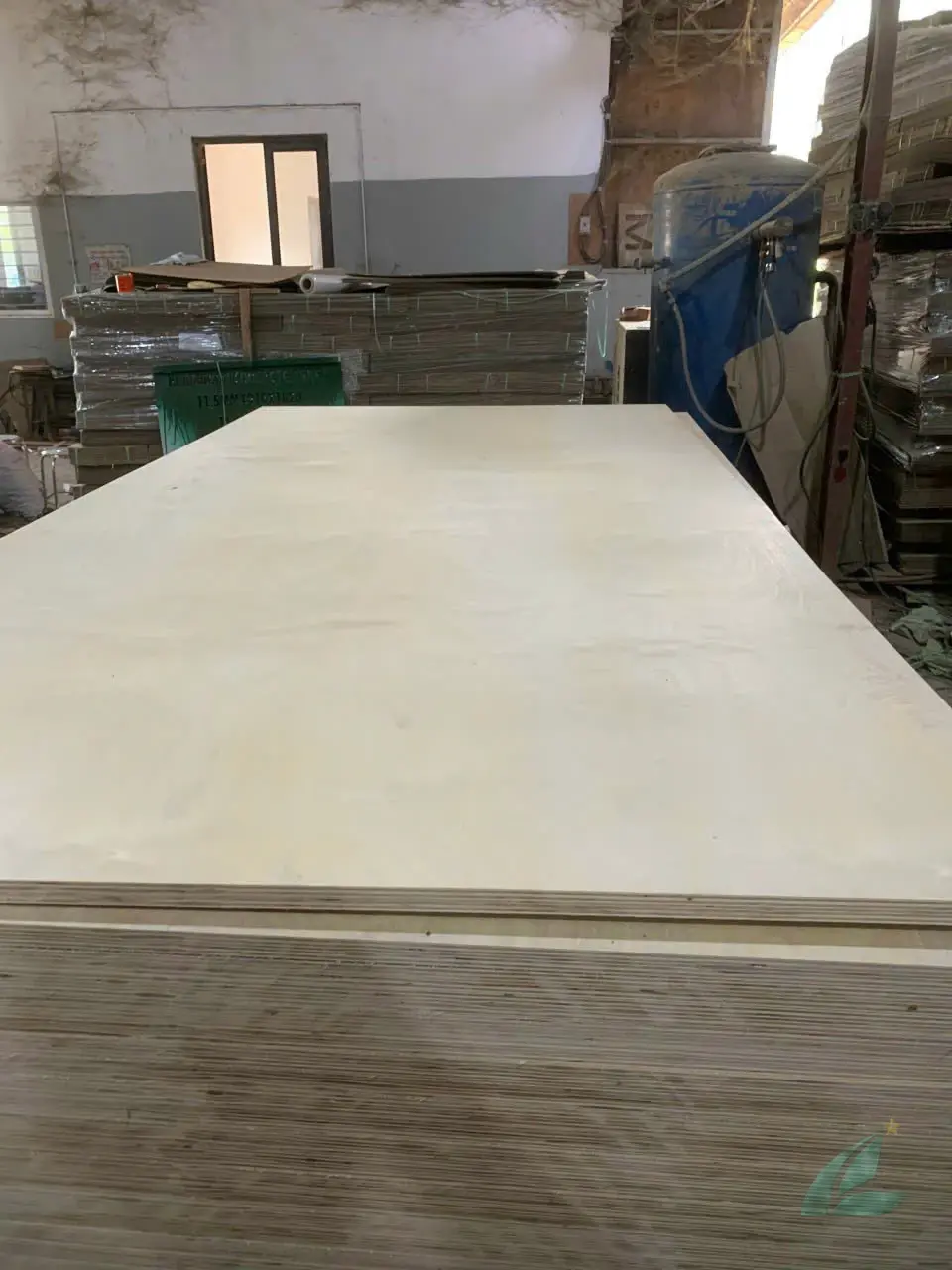 Birch Plywood
