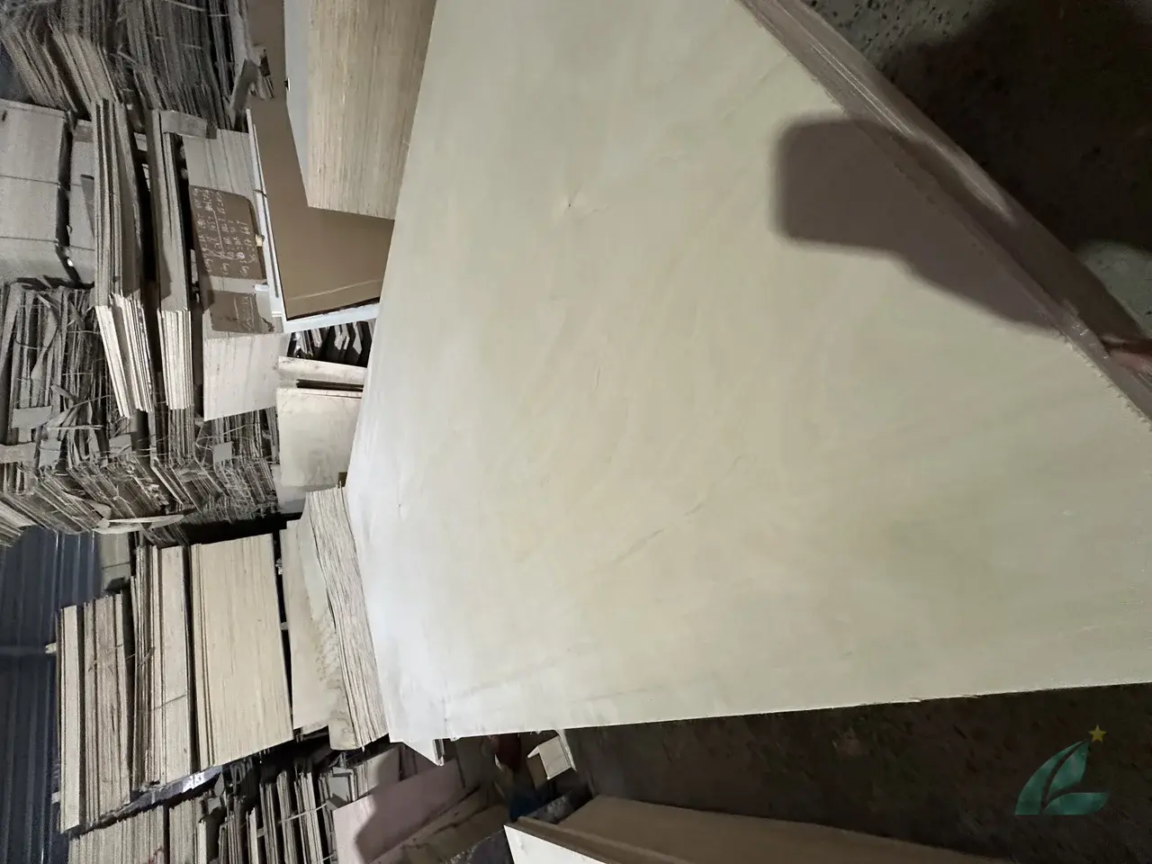 birch plywood vietnam sanded furniture grade panels close-up surface quality hcply