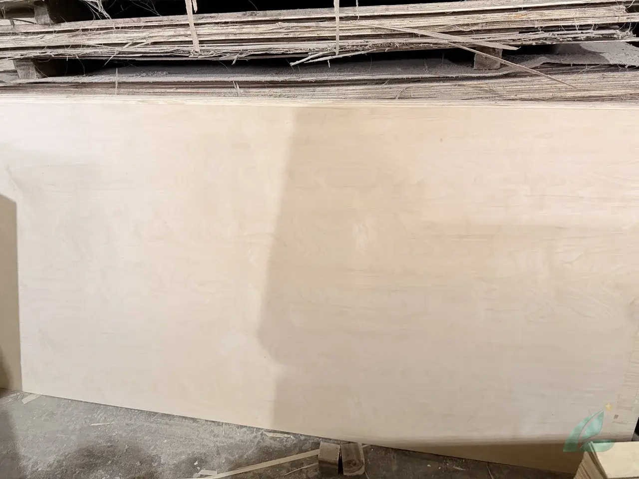 birch plywood export grade furniture vietnam hcply factory