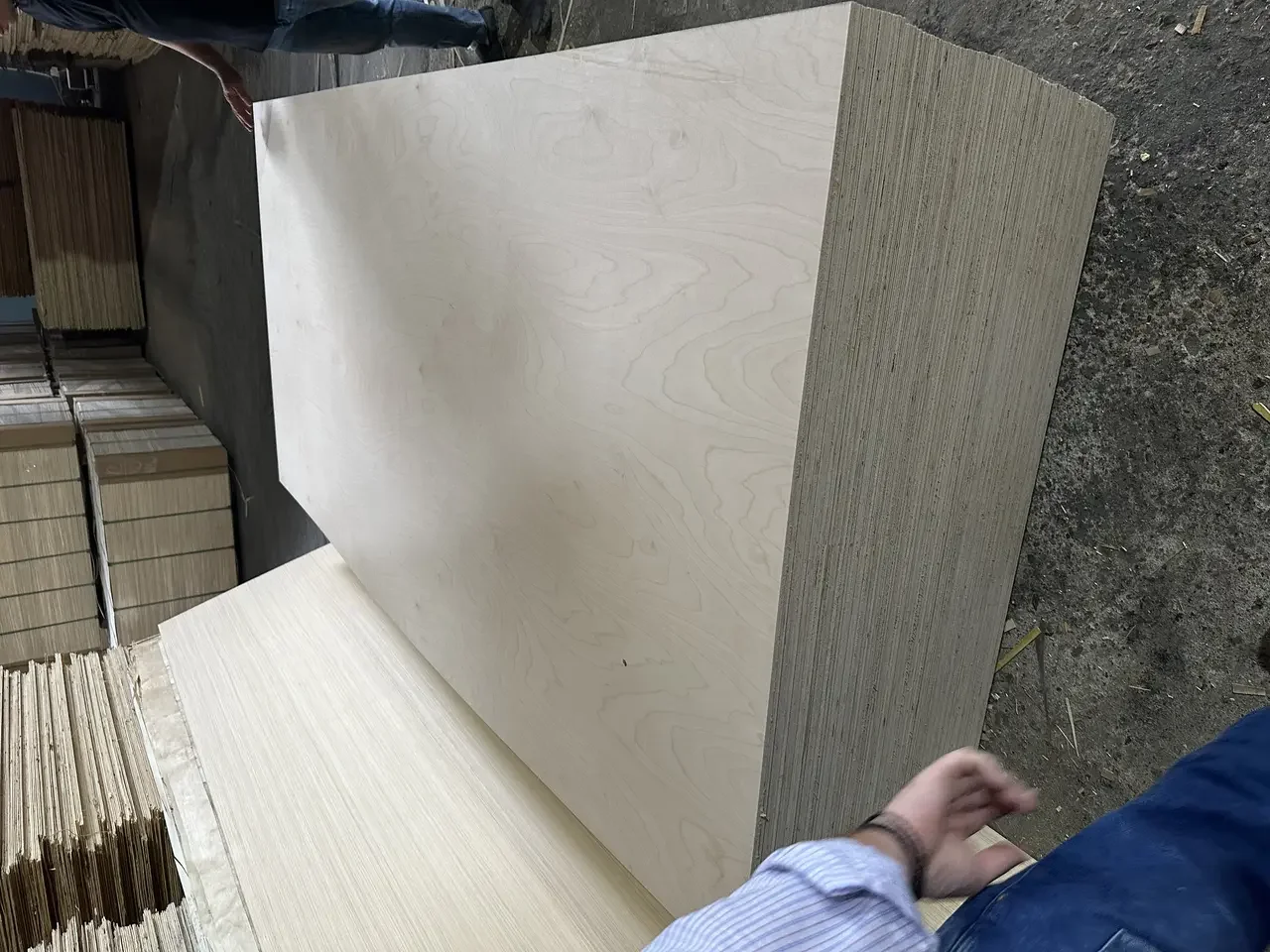 Vietnam plywood product samples birch okoume bintangor face veneer options hcply