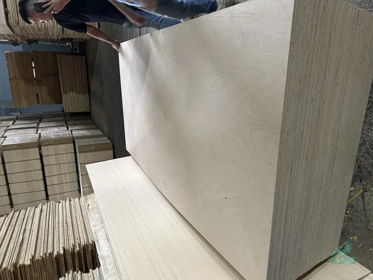 Birch plywood Vietnam D grade face veneer export quality sanded Mika Plywood premium furniture