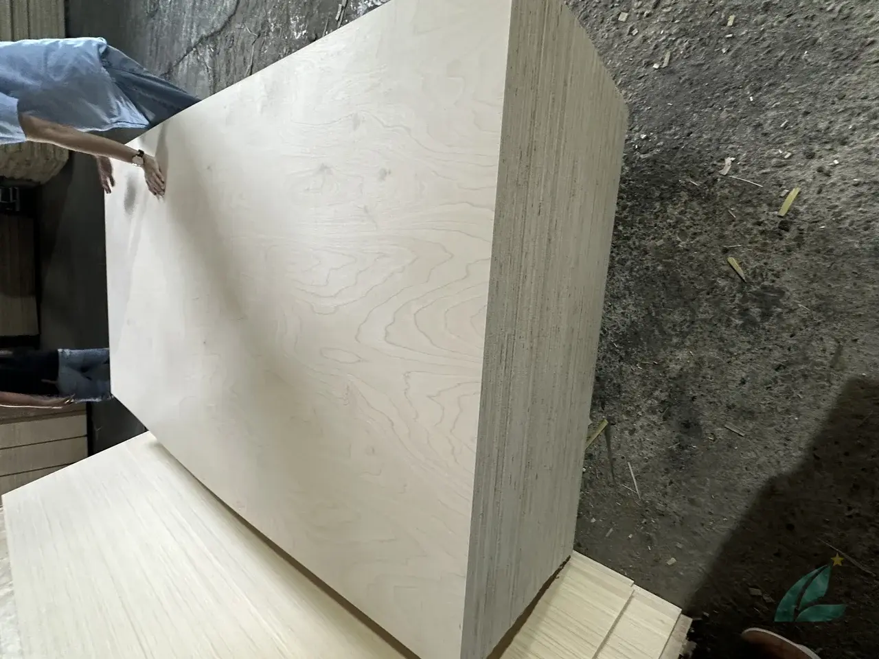 Vietnam birch plywood manufacturing — imported birch face veneer bonded to styrax core at Mika Plywood factory