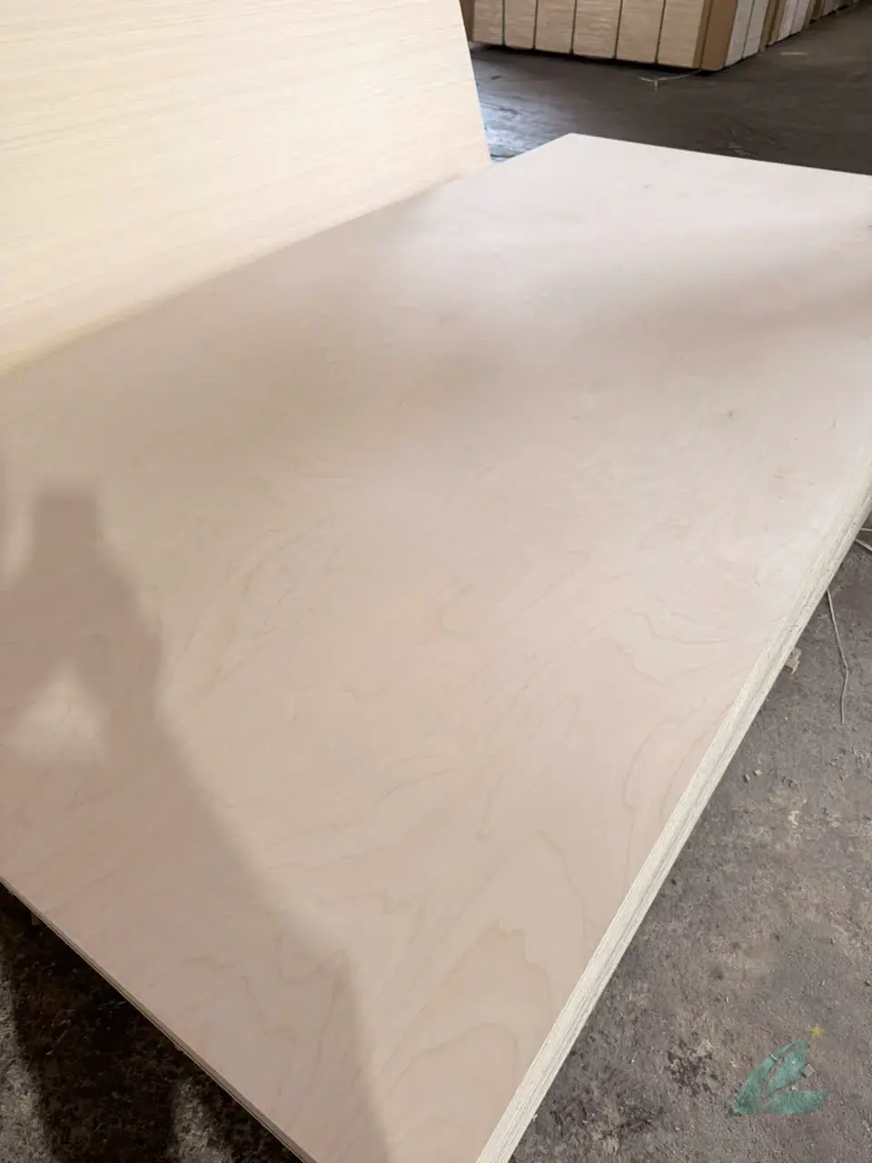 Birch plywood Vietnam D grade face veneer export quality sanded Mika Plywood