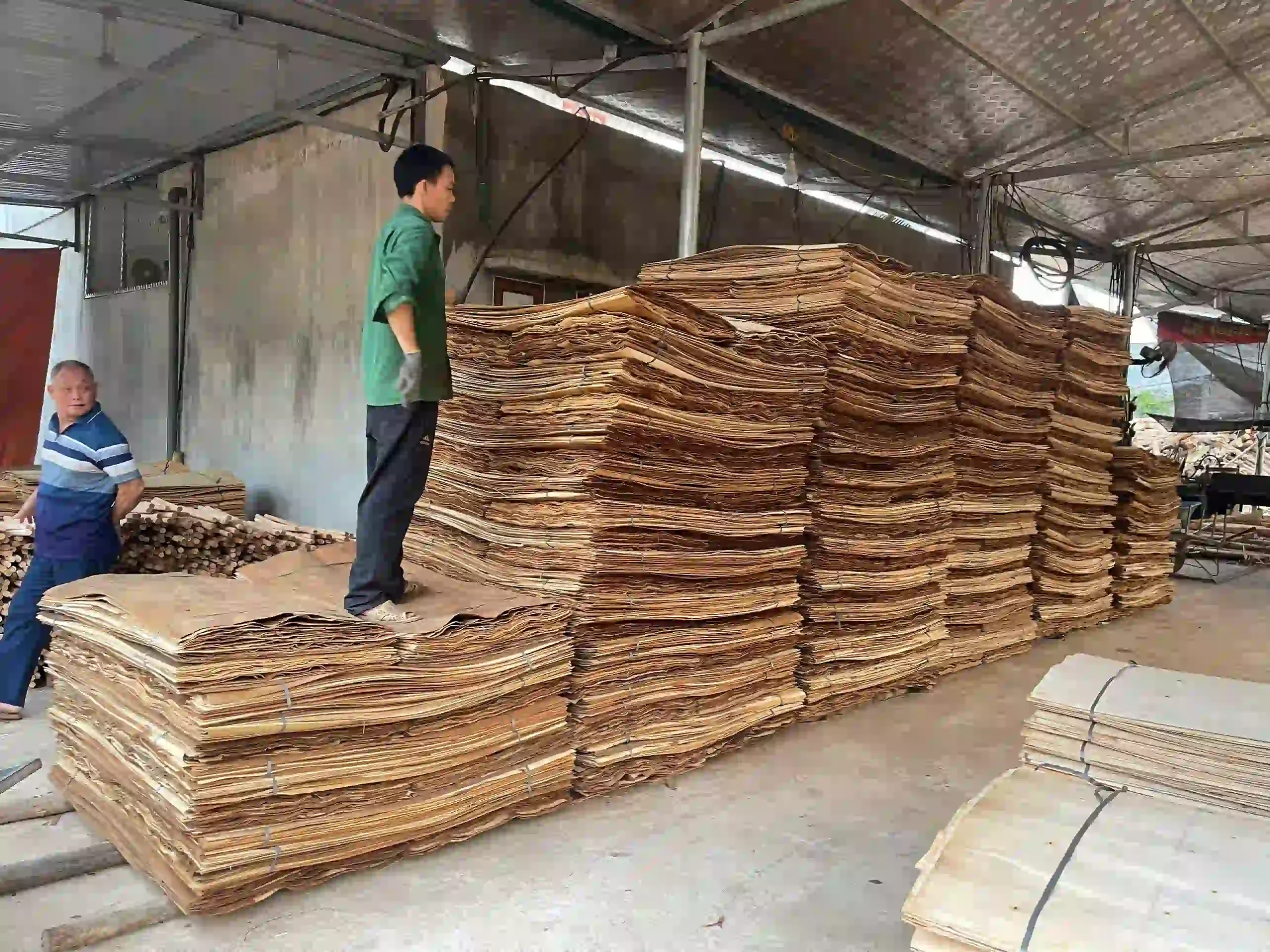 acacia core veneer plywood vietnam export grade hcply
