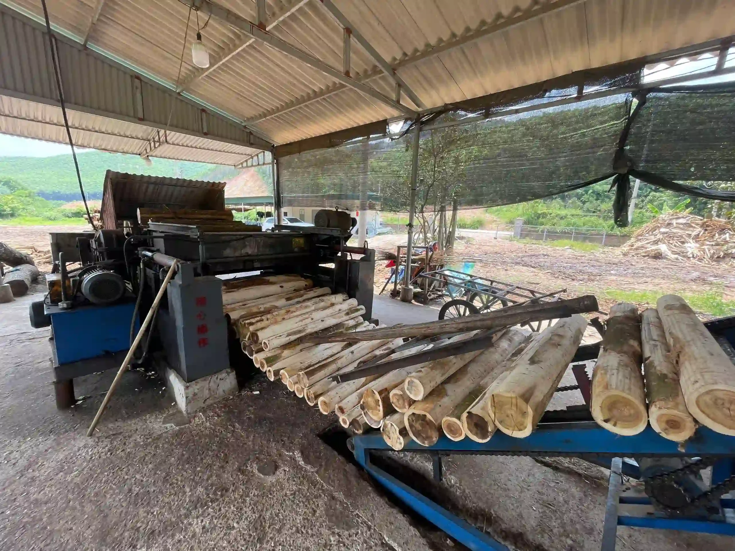 core veneer production line inside vietnam plywood factory hcply hot press