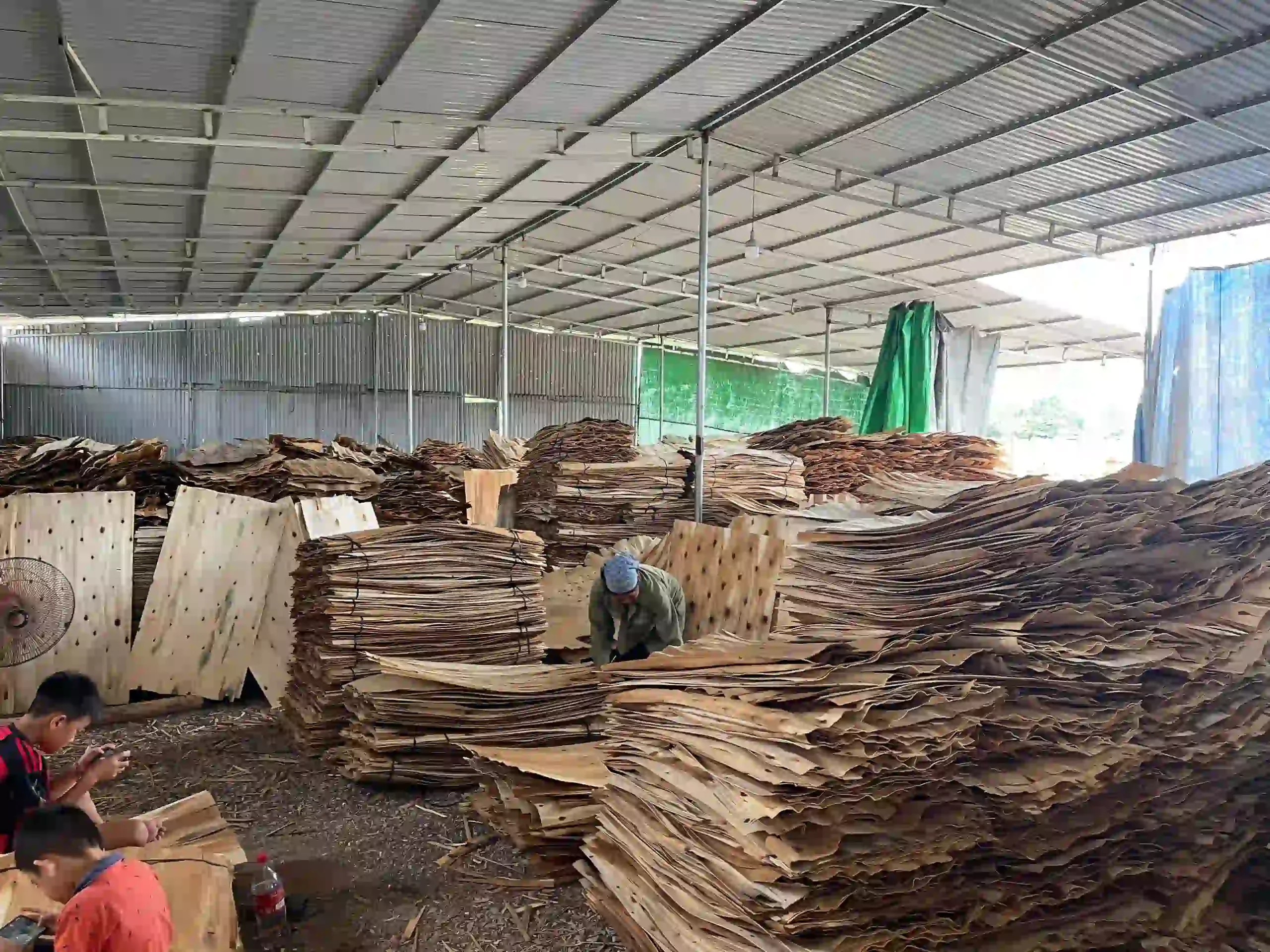 veneer drying process moisture control plywood factory vietnam hcply production
