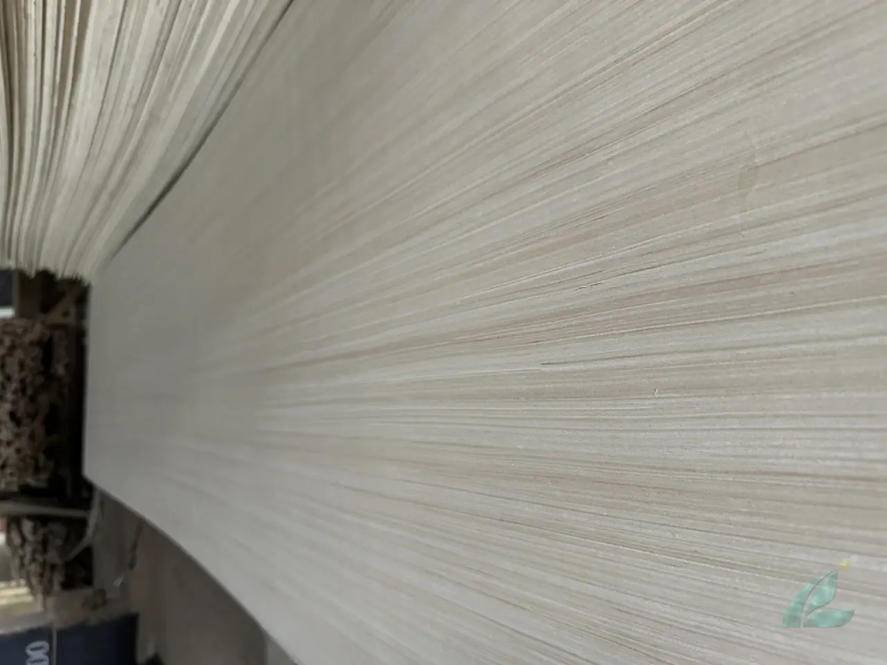 EV Plywood