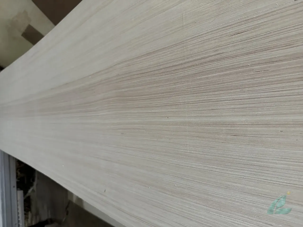 EV Plywood
