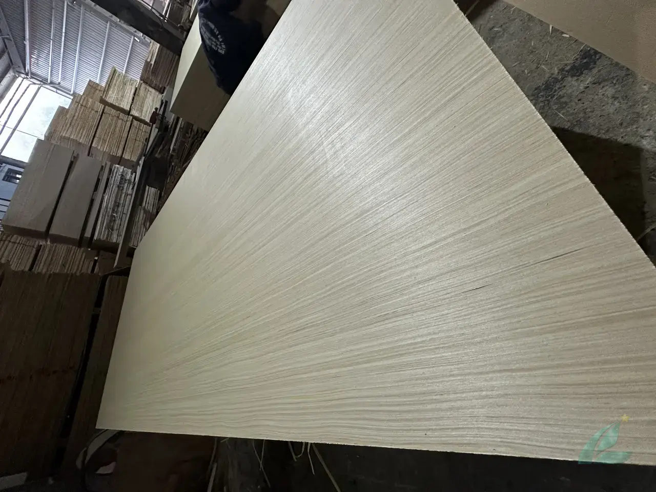 EV plywood vietnam furniture grade engineered veneer sanded export hcply
