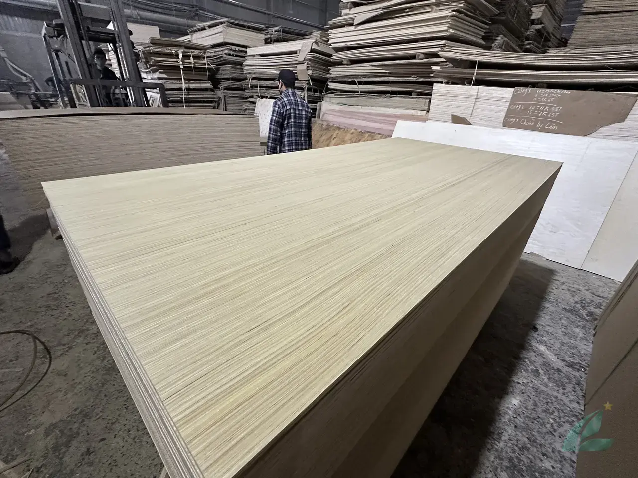 EV engineered veneer plywood Vietnam decorative export grade Mika Plywood furniture substrate