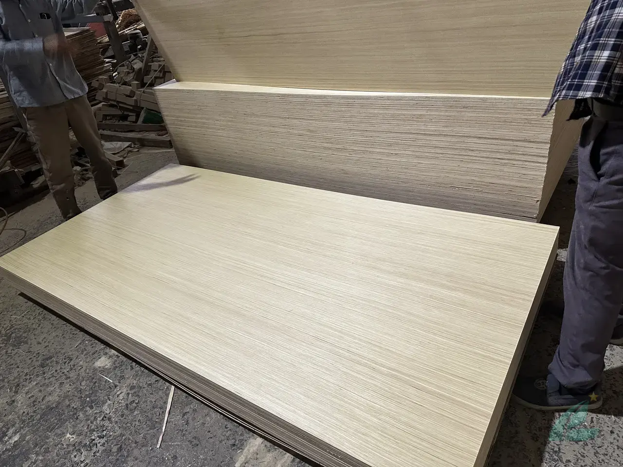 EV plywood Vietnam smooth sanded surface UV coating ready Mika Plywood export