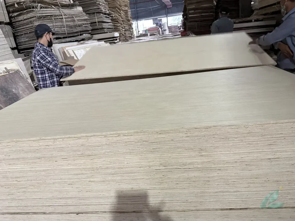 EV Plywood Vietnam — Uniform Grain, High-End Interiors, Export Grade image 20