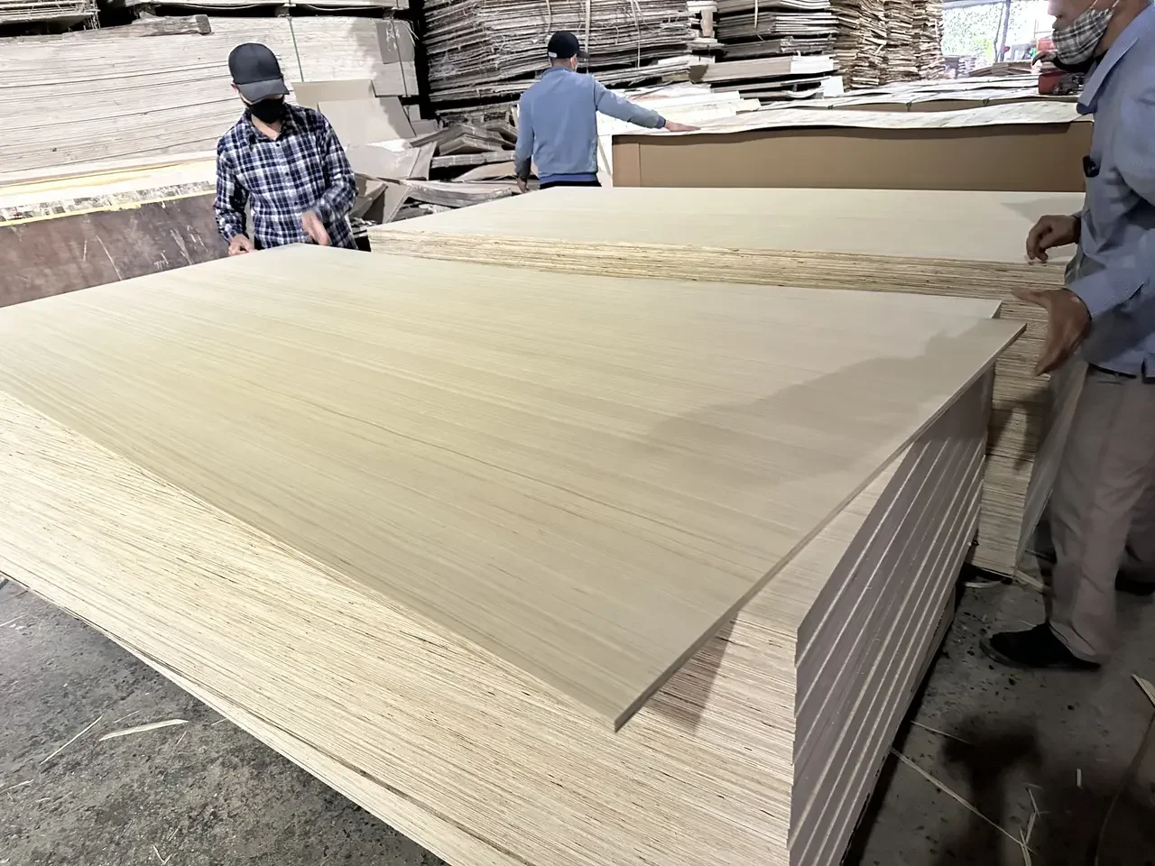 EV plywood Vietnam quality inspection factory Mika Plywood export