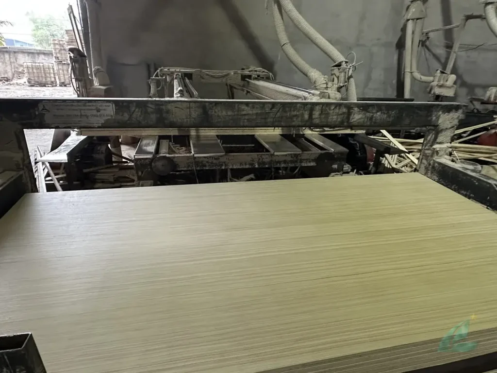 EV Plywood Vietnam — Uniform Grain, High-End Interiors, Export Grade image 21