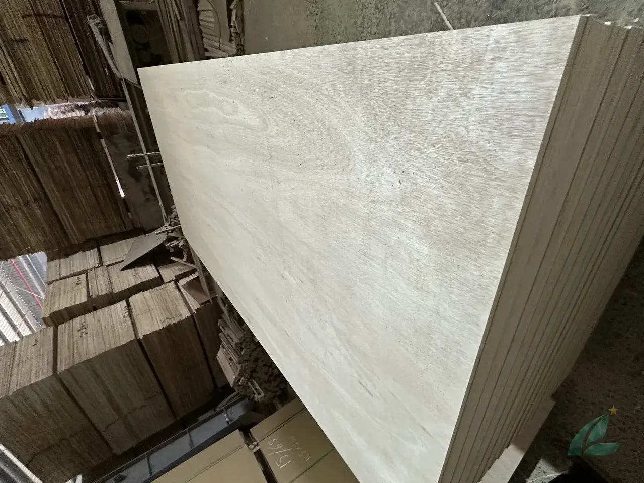 Eucalyptus Plywood