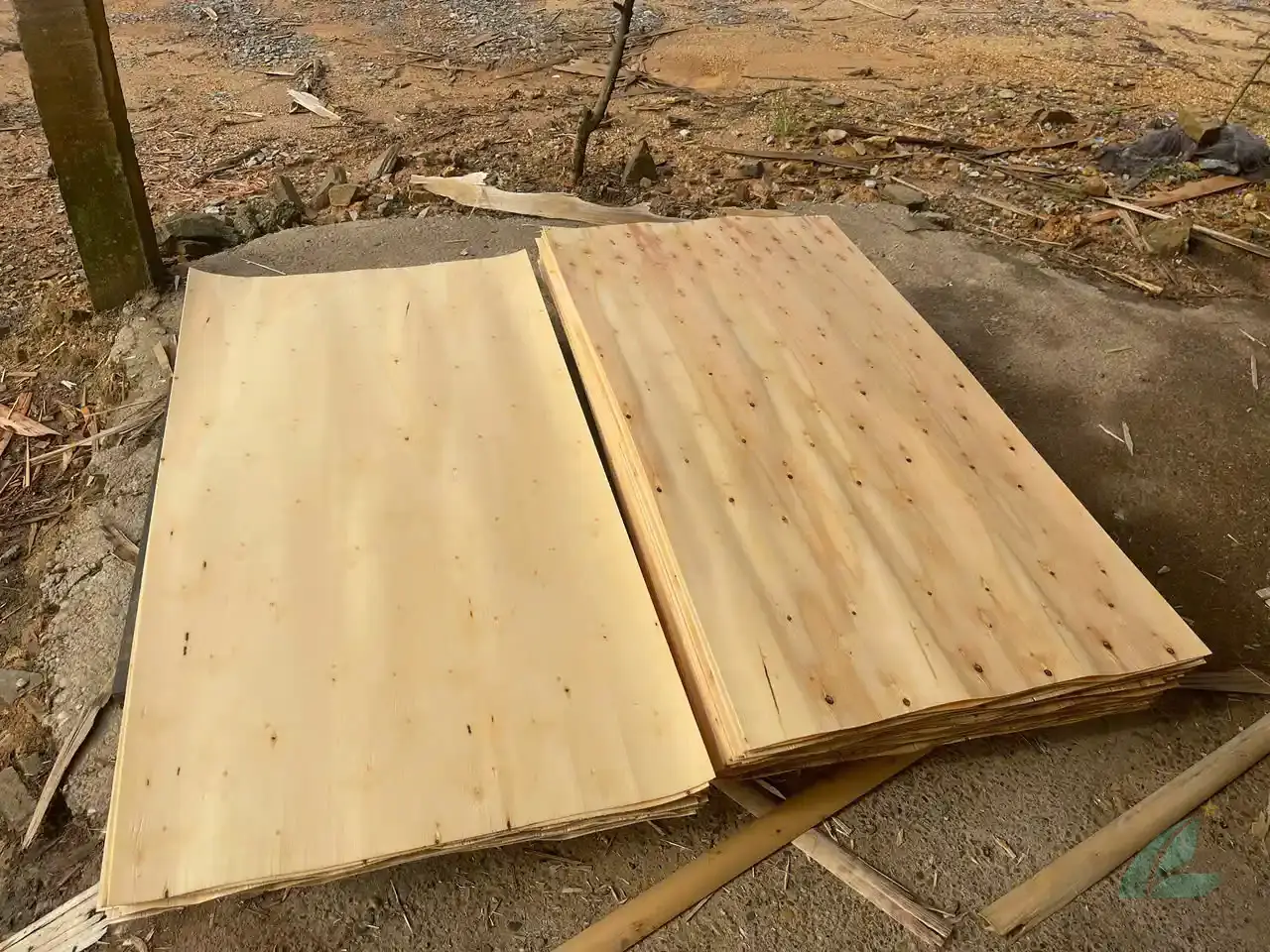 eucalyptus core veneer vietnam high density export hcply factory quality control