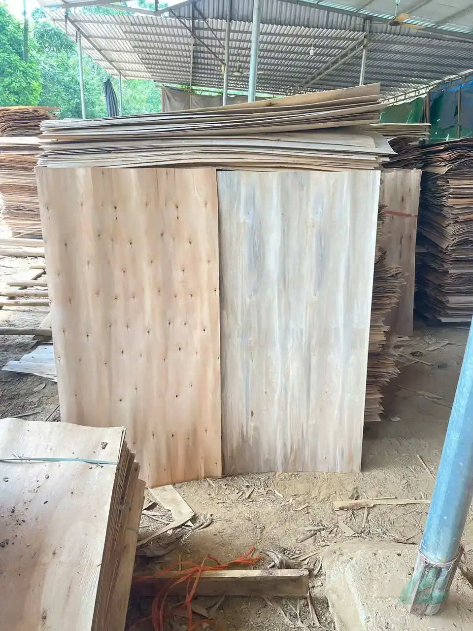 eucalyptus core veneer vietnam export high density cross-section comparison hcply plywood