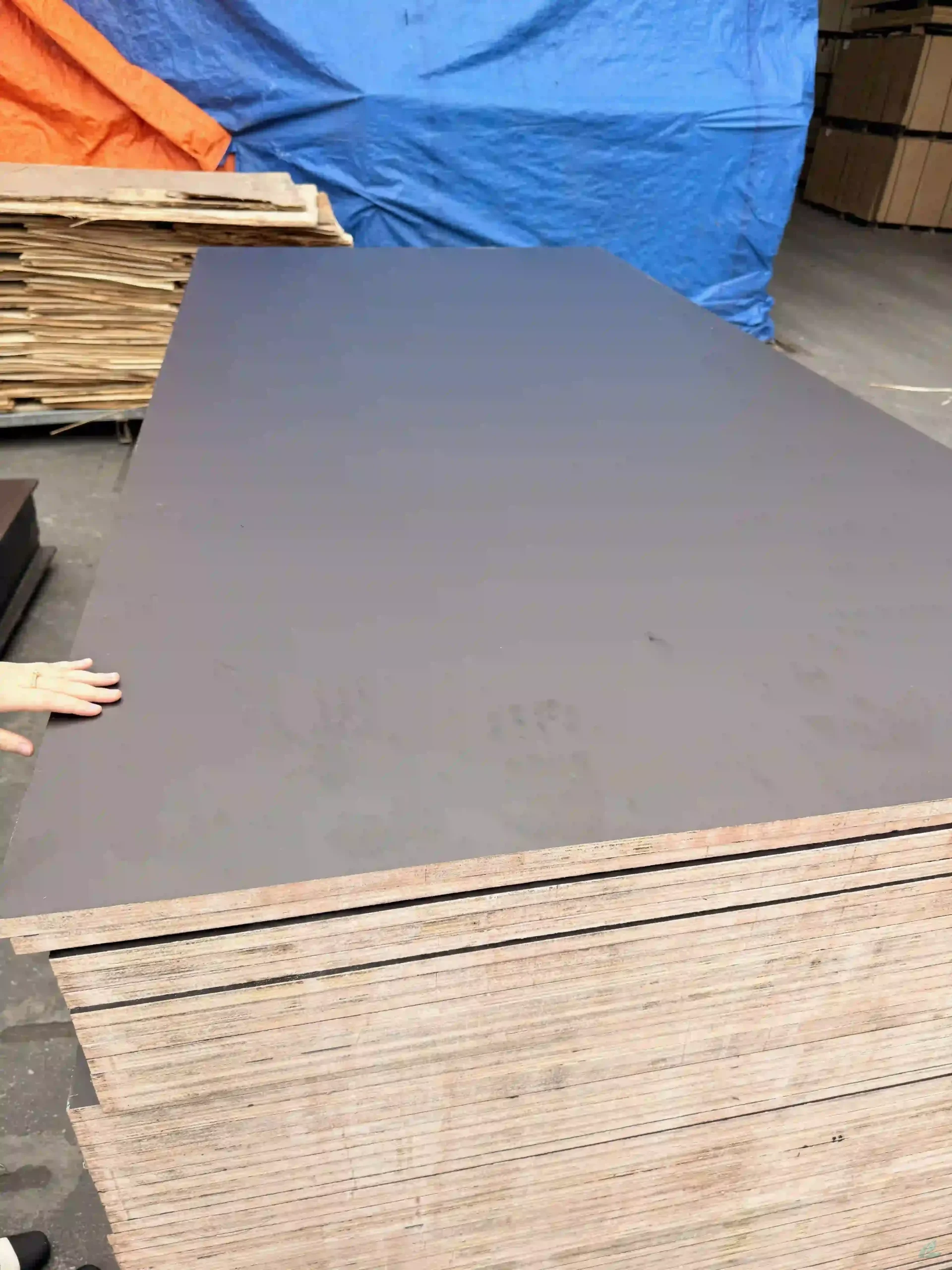 film faced plywood black brown export vietnam factory hcply construction grade