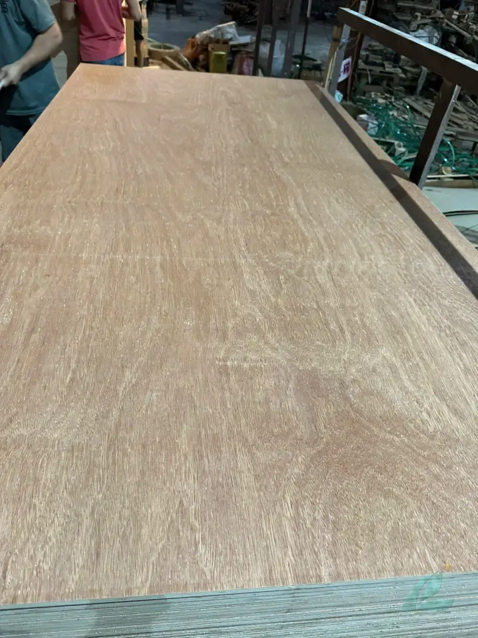 Gurjan Plywood