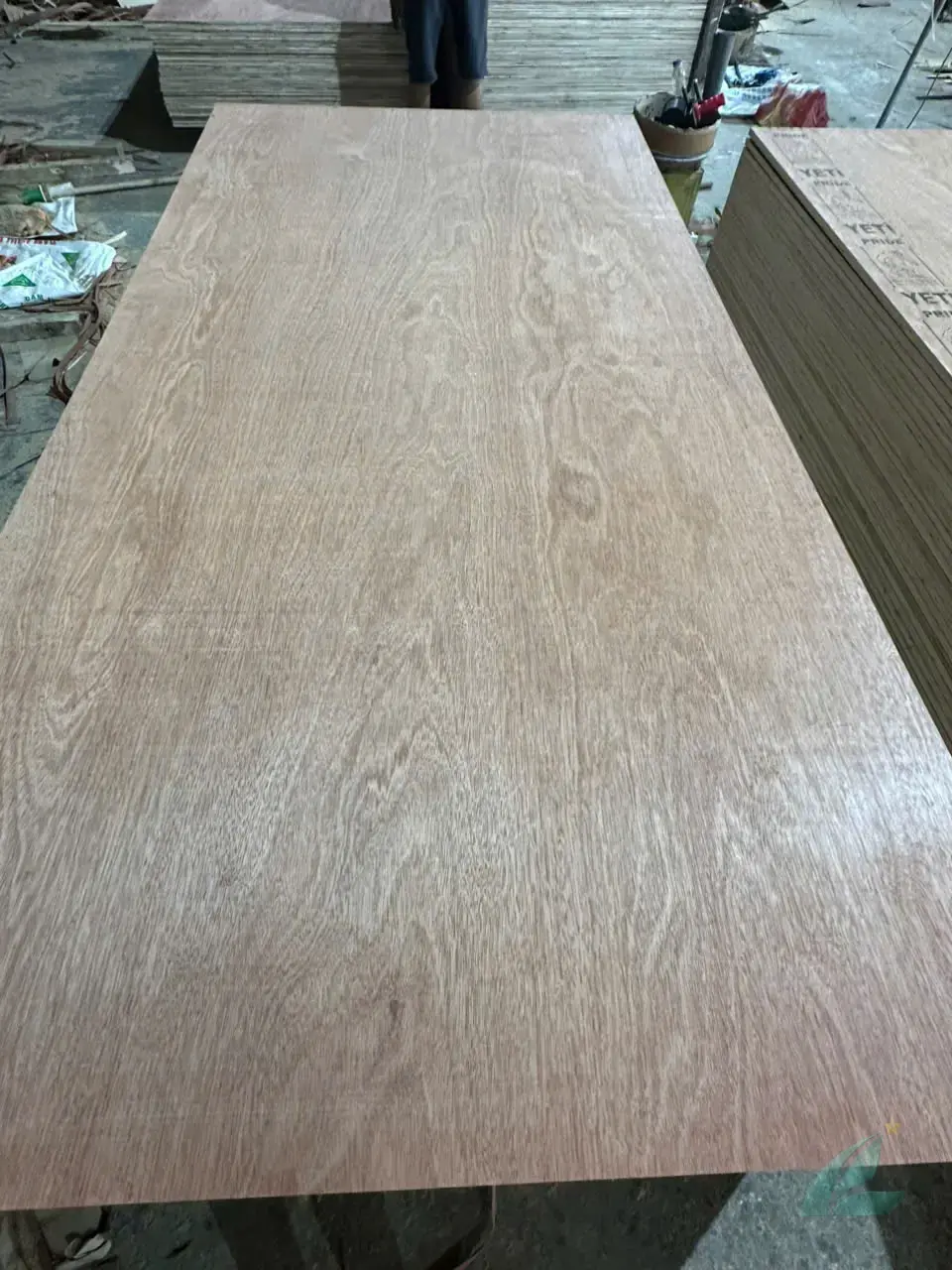 gurjan plywood vietnam premium export grade hcply face veneer closeup