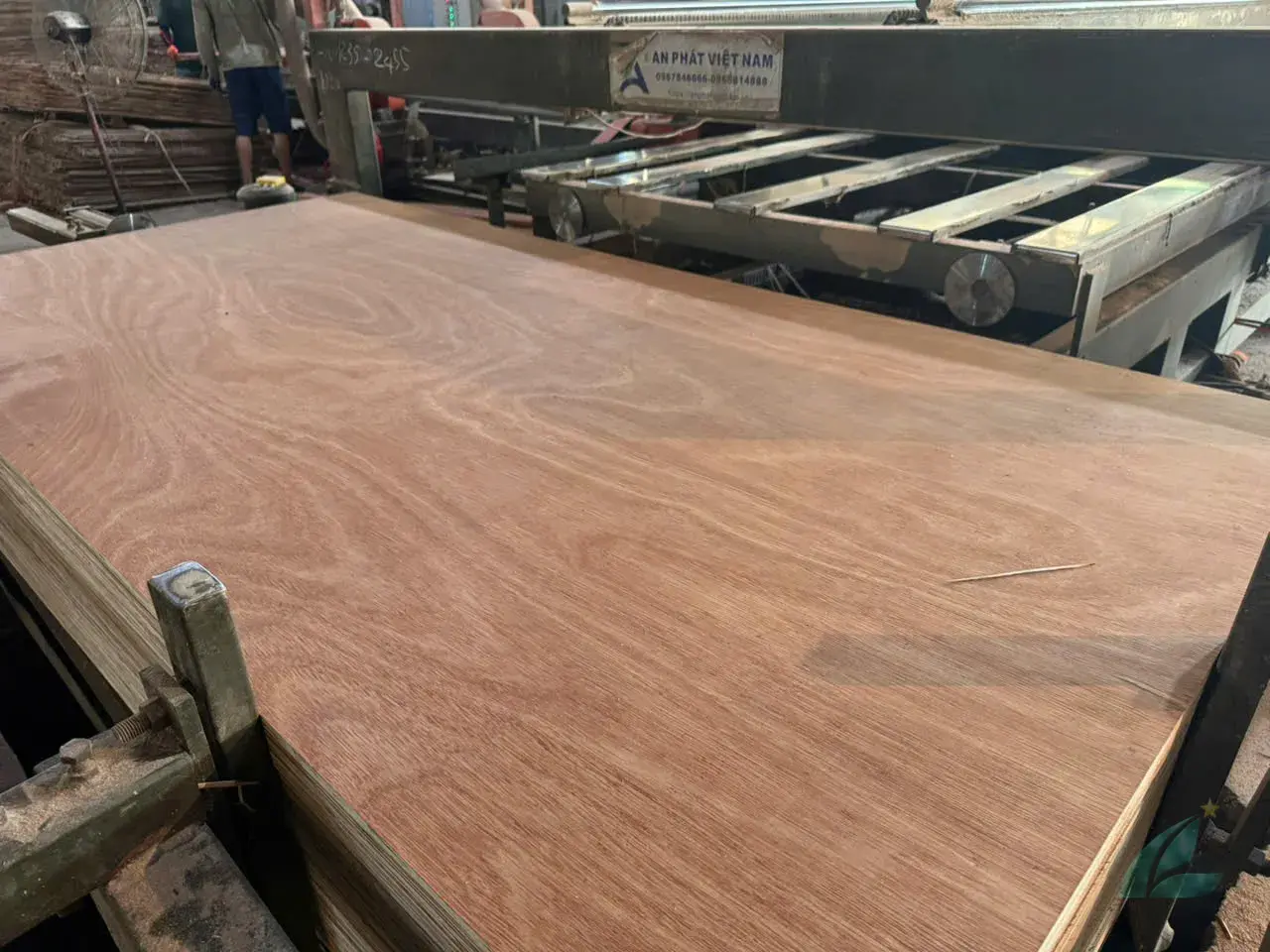 gurjan plywood vietnam premium export grade hcply face veneer comparison