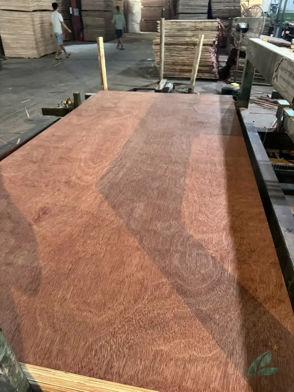 gurjan plywood vietnam export grade hcply stacked sheets quality