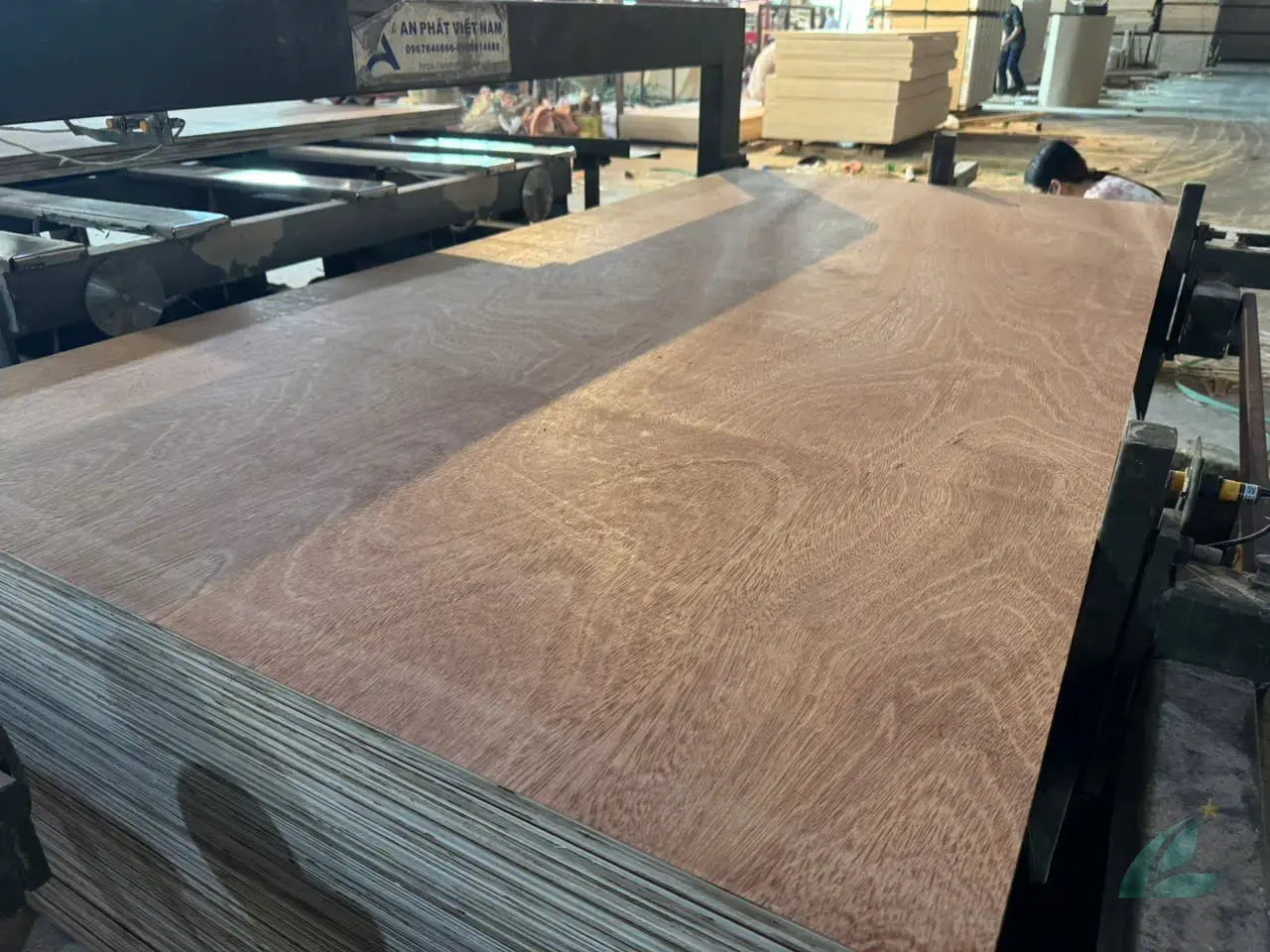 gurjan plywood vietnam premium export grade for india furniture market hcply