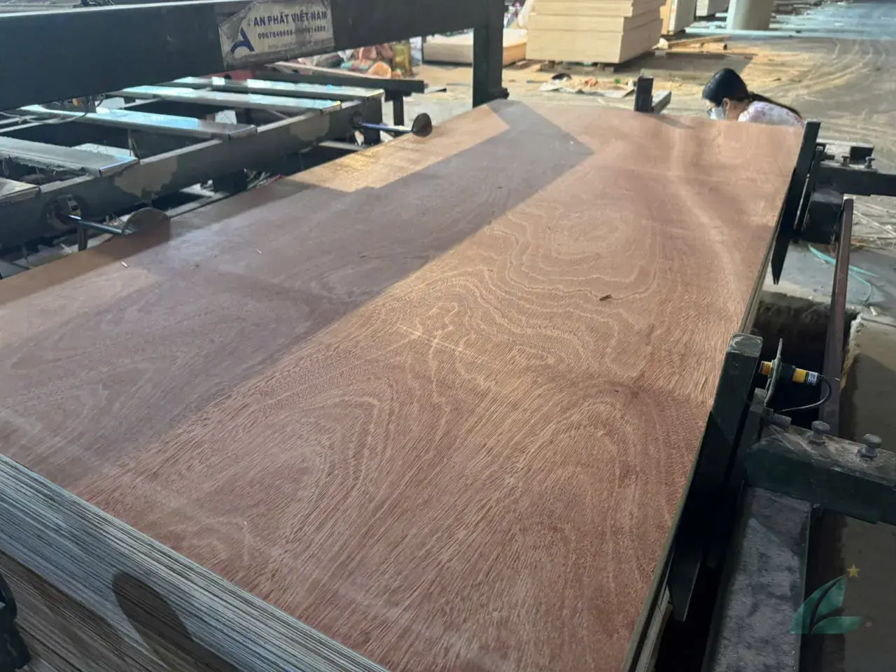 plywood sheet sizes 1220x2440 4x8 ft standard india import thickness range