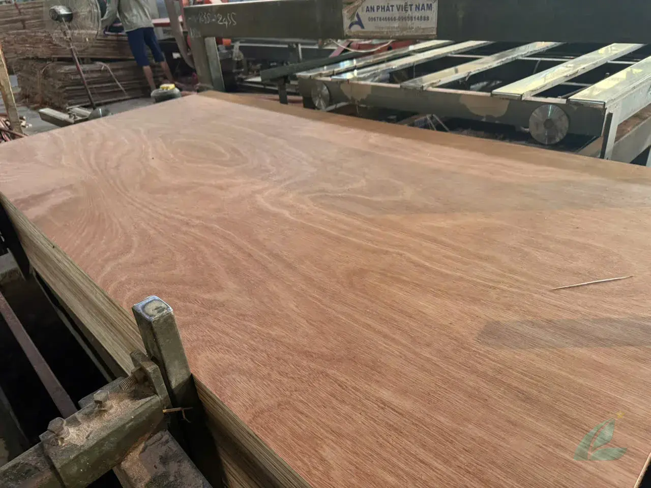 gurjan plywood vietnam factory quality control inspection hcply