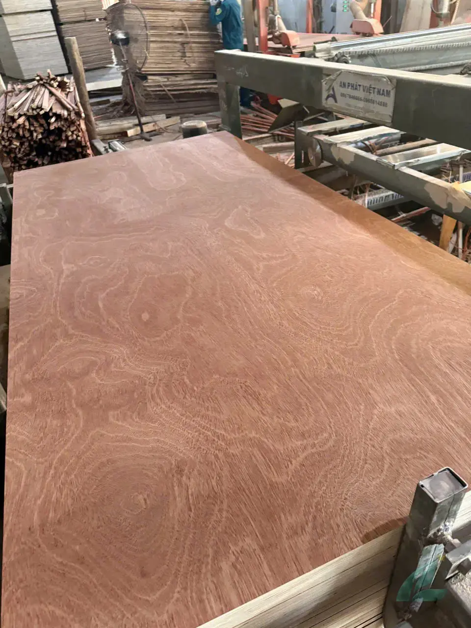 Gurjan Plywood Vietnam — Mika Plywood