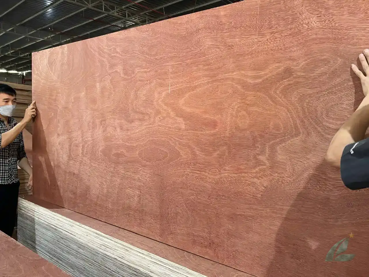 gurjan plywood vietnam container loading 40hc hcply export