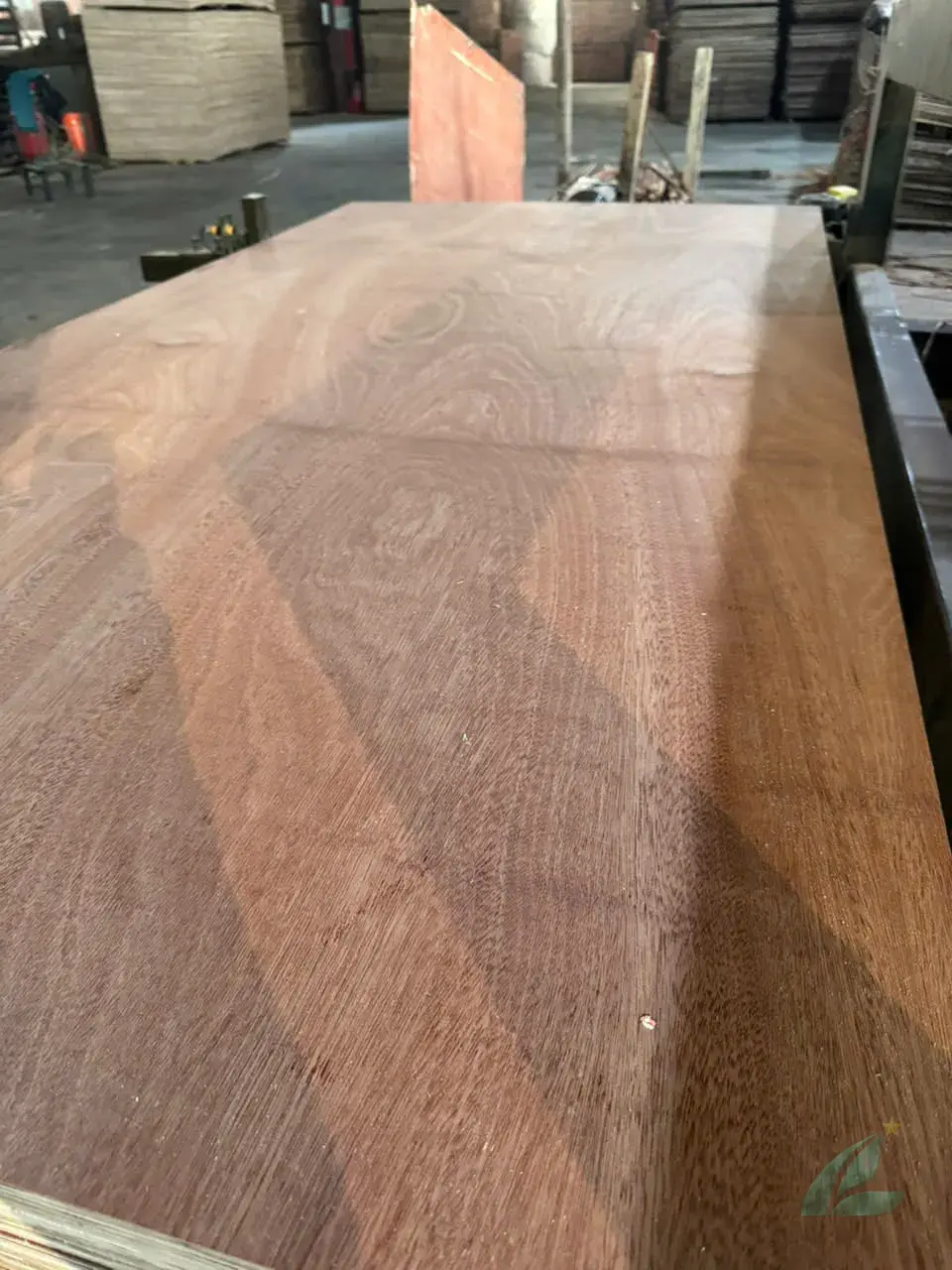 Gurjan plywood Vietnam premium grade export furniture India market Mika Plywood