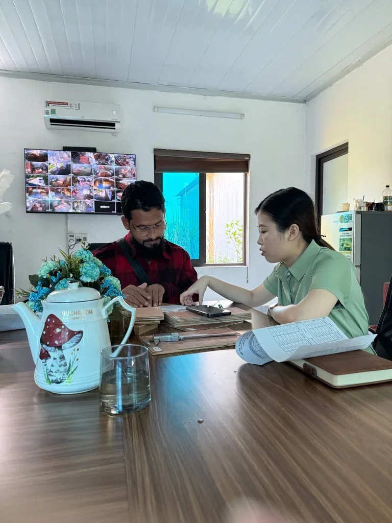 International buyer visiting Vietnam plywood factory for supplier evaluation hcply