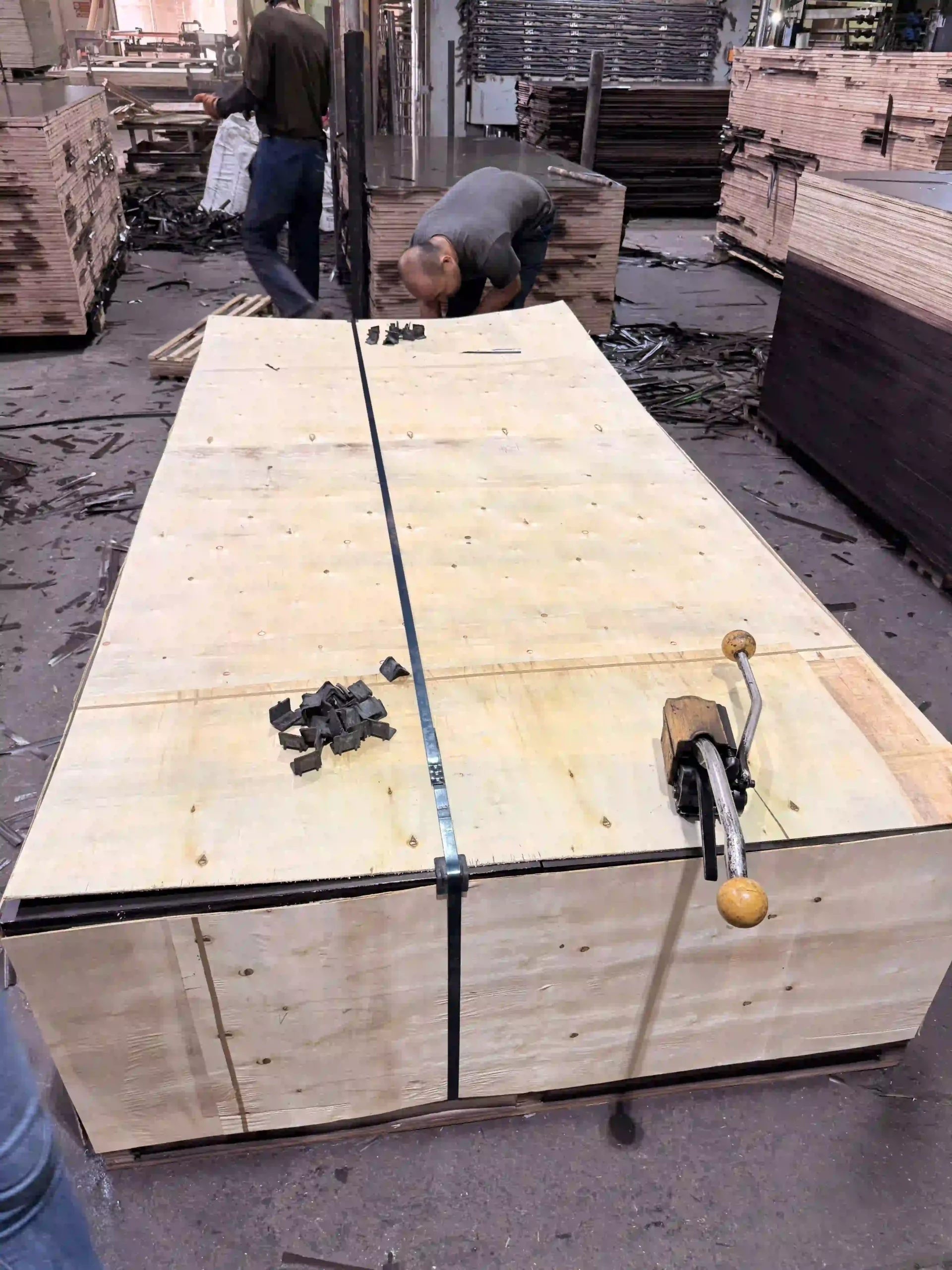 Mika Plywood plywood export pallets loaded and strapped — packing label visible