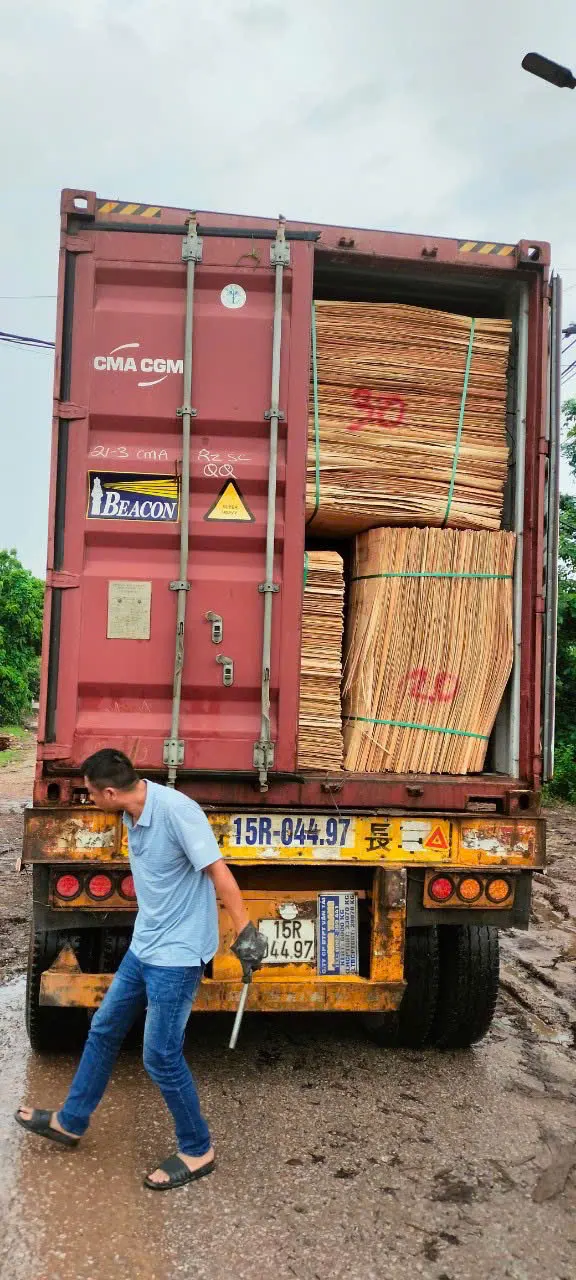 Vietnam plywood container loading at Mika Plywood factory Hai Phong port export