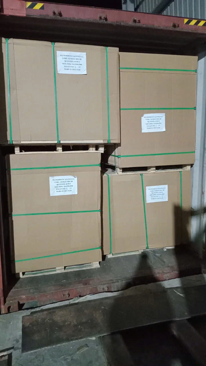 Acacia core plywood packing 1250x2500mm 16 pallets per 40HC container Mika Plywood Vietnam