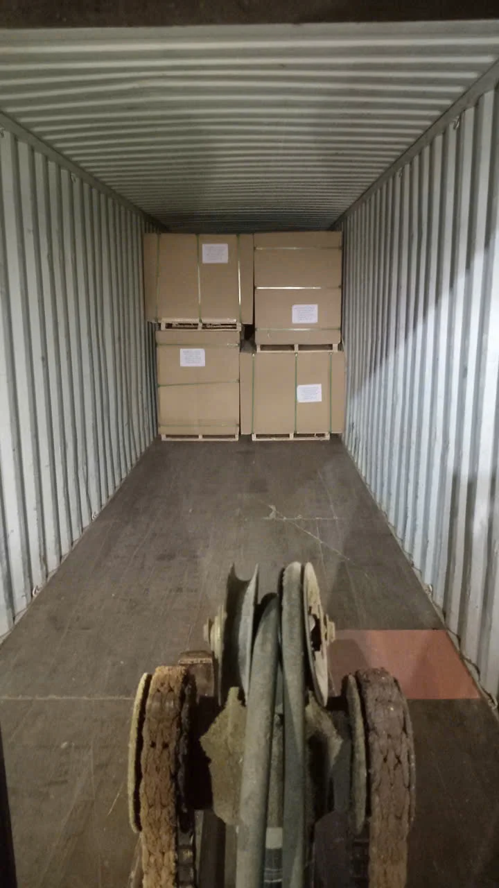 container floor inspection before plywood loading — checking for soft spots and moisture damage