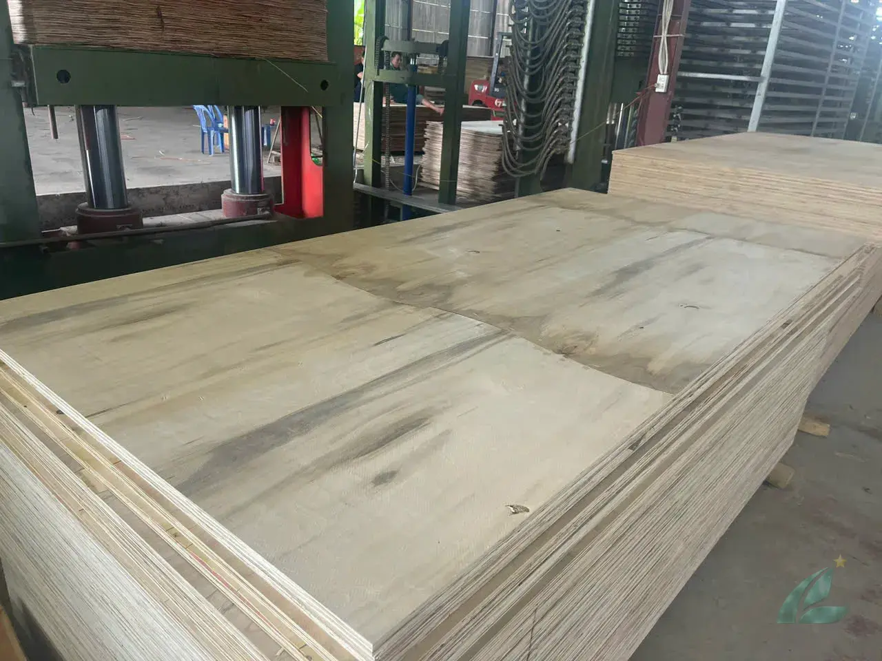Matt plywood unfaced substrate Vietnam export Mika Plywood lamination grade