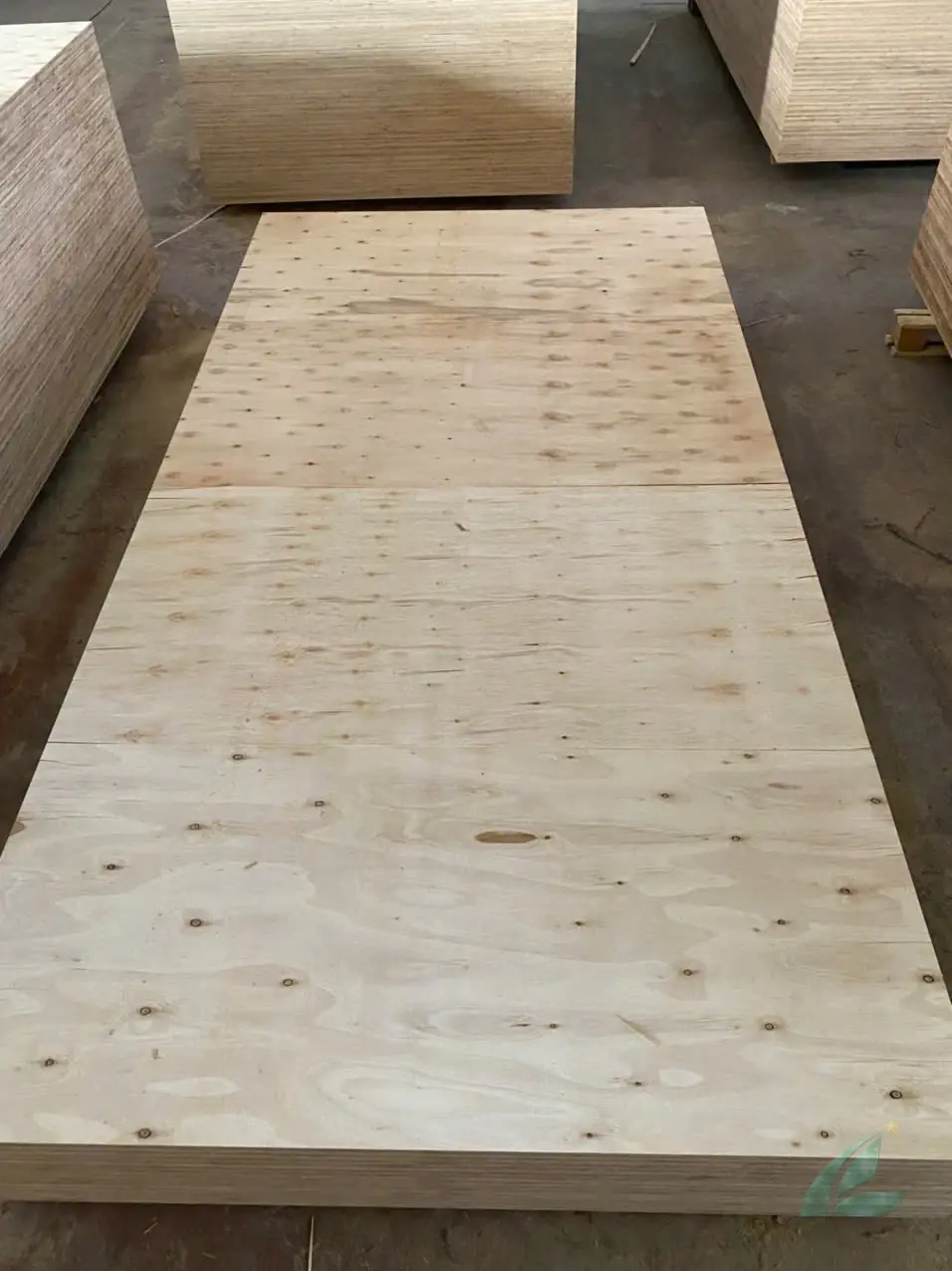 Matt Plywood