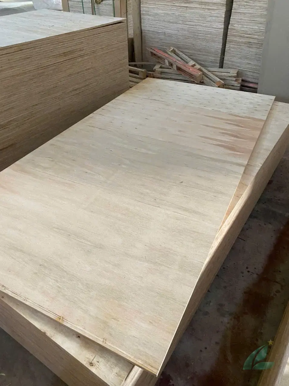 styrax core plywood cross-section showing light color veneer layers vietnam export